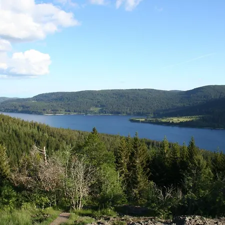 Apartament Mit Pool Am Schluchsee