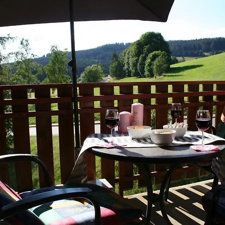 Mit Pool Am Schluchsee